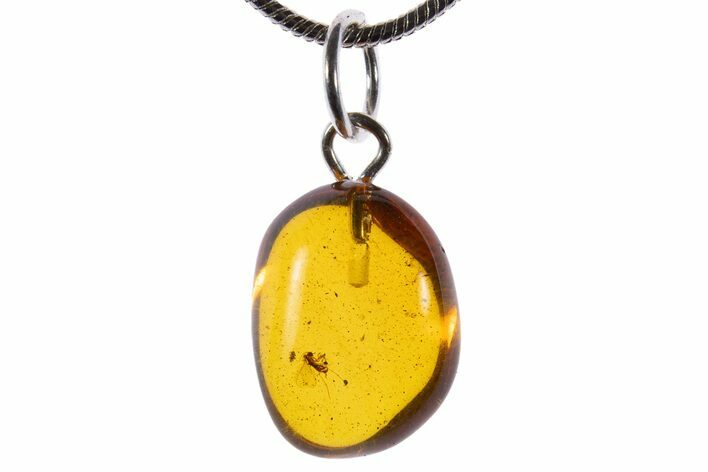 Polished Baltic Amber Pendant (Necklace) - Contains Fly! #339597
